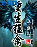追一个离过婚的女人六条办法