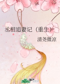 chinese国产中文对白