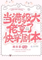 u盘数据恢复大师