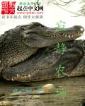 动物派对电脑版下载