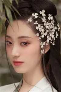 穿越还珠之紫薇花开