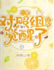公车短文合集系列