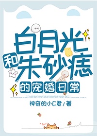 人狗大战JAVA代码
