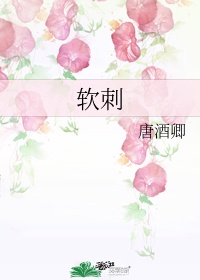 新新影院理论片波多