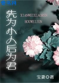 霸道总裁小黄文