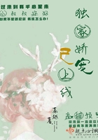 完全性爱调查