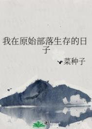 乡村乱日