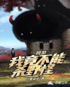 本网站受美国