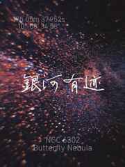 初一下册语文