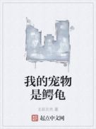 周末同床2在线观看高清完整