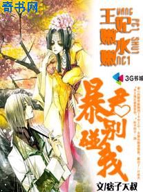 久久高清免费视频