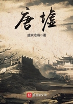 精品国产司机视频