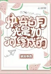 男女爽爽爽