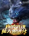 张警官视频