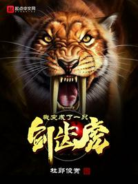 二区免费视频