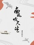 桃花岛免费直播官网