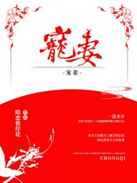 女人阴道全景图