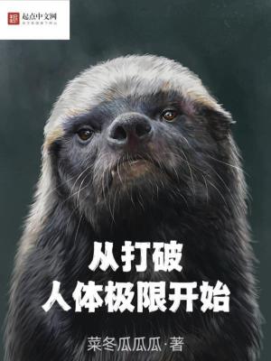 今日晚秋乙种和值推荐