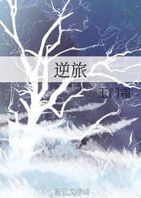 东奔西顾 小说