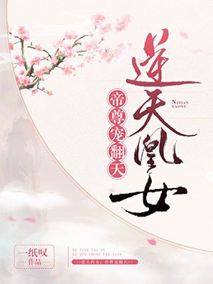 侍灵演武
