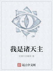 窗纱