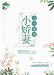 霍元甲全集