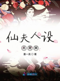双胞胎h