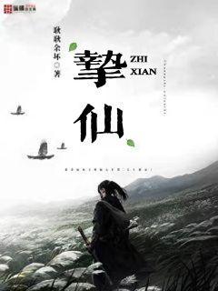 蕾丝边什么意思