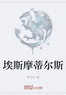 针锋对决所有车