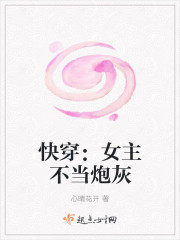 作家的谎言在线观看