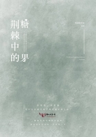国产在线视精品在亚洲