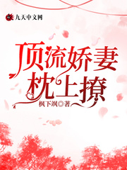 超91国产美腿系列