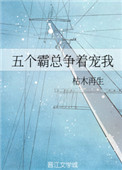 先锋影音手机版资源