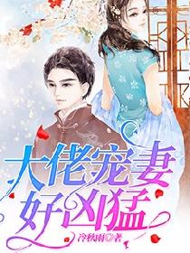 倒插门电视剧
