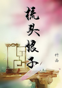 二次元之光明掌控