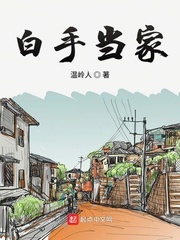 德哈文高速车车厢