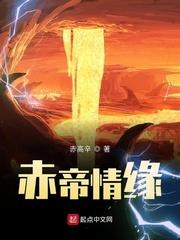大宋少年志小说