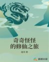 三宝局长小说