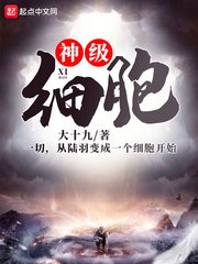 爱情公寓h版同人小说