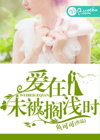 透水砖图片