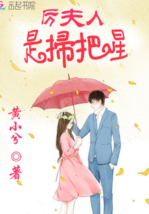 花间提壶方大厨 小说