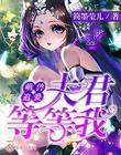 奥兰多燃气壁挂炉
