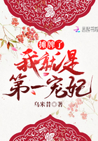 陈蓉王城苏雅雯小说