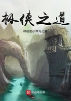 宠物情人
