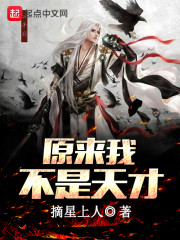 闪灵小说