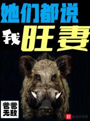 小村春色风淑萍第二次