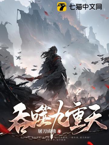 公交车轮C系列