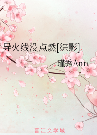 丁大命分集剧情介绍