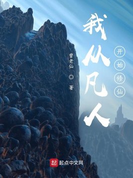 2024日韩最新理论片