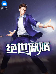 小新肉云分1一27集小说
